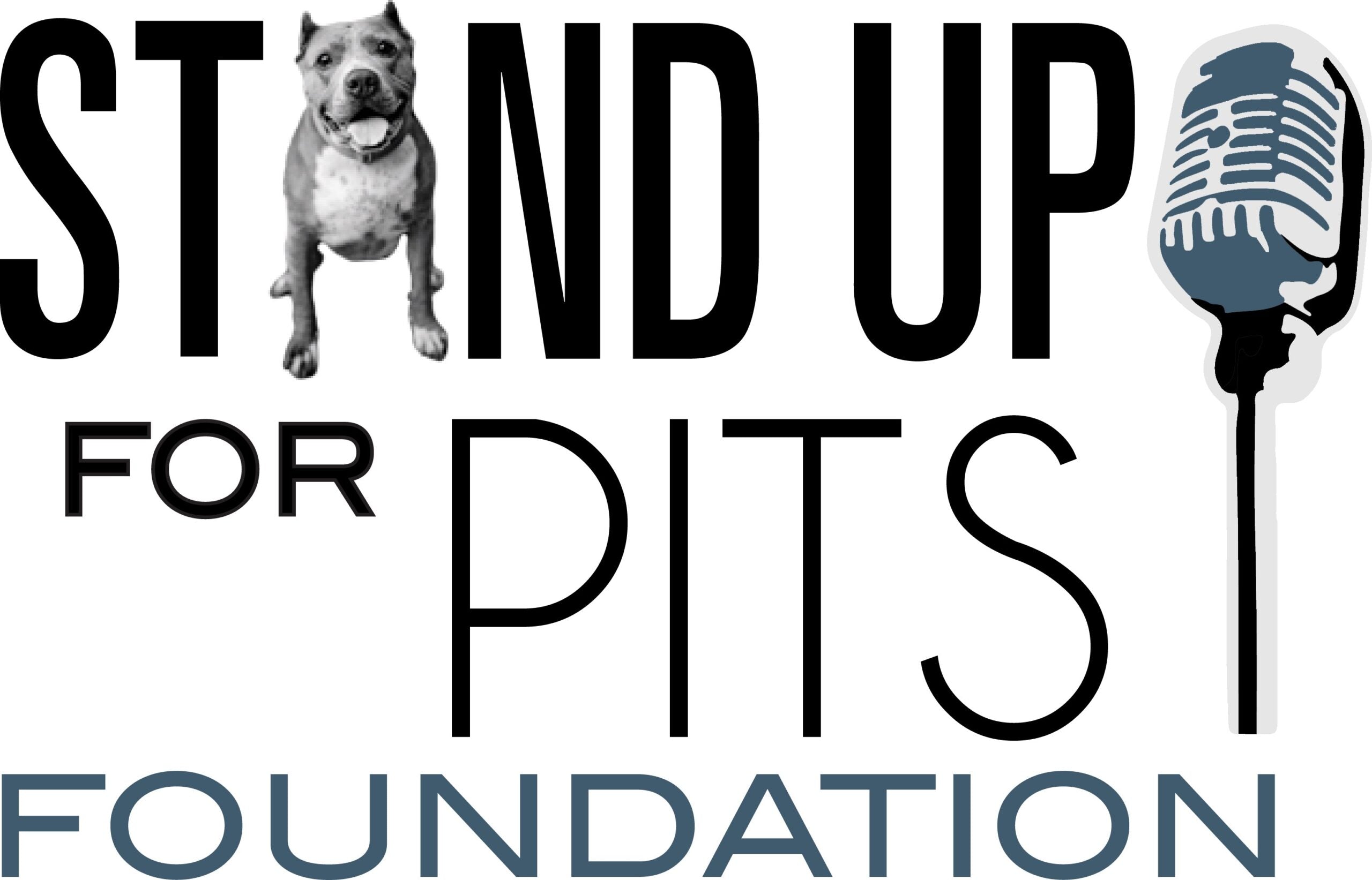 stand up for pits foundation banner